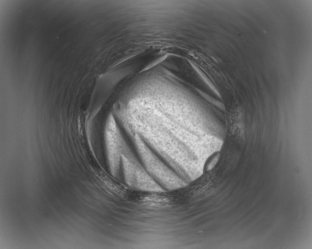 X0000082960515200702152309