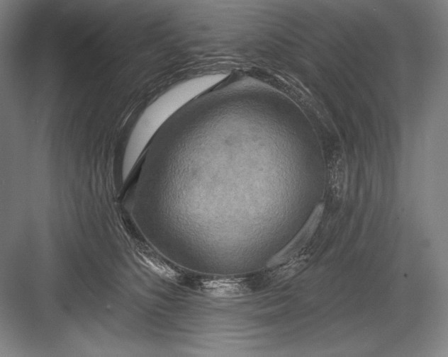 X0000082960516200702152309