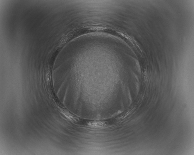 X0000082960517200702152309