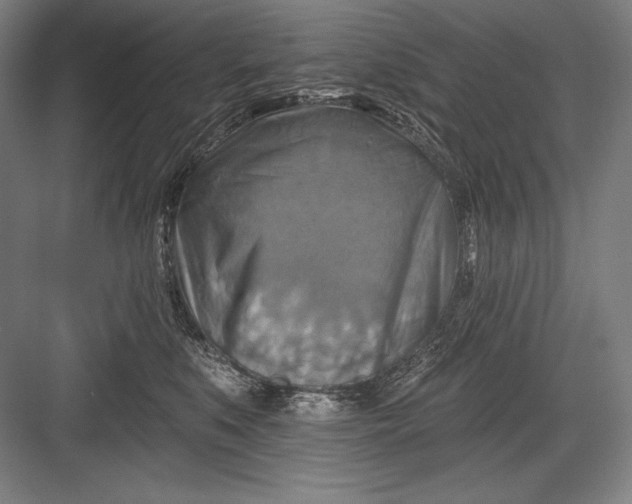 X0000082960519200702152309