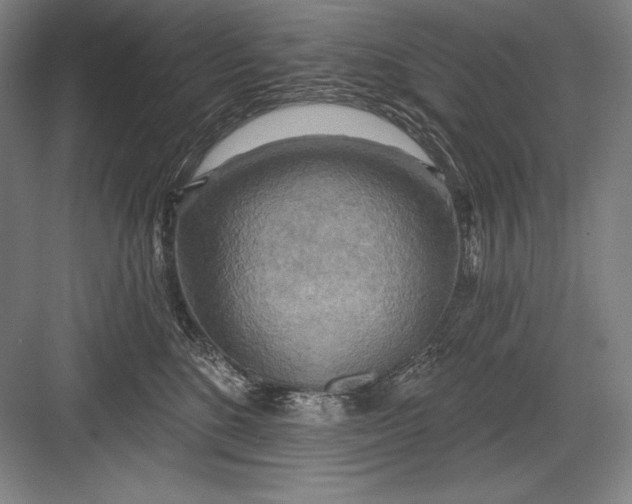 X0000082960520200702152309