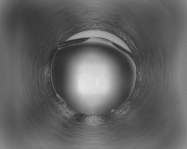 X0000082960521200702152309