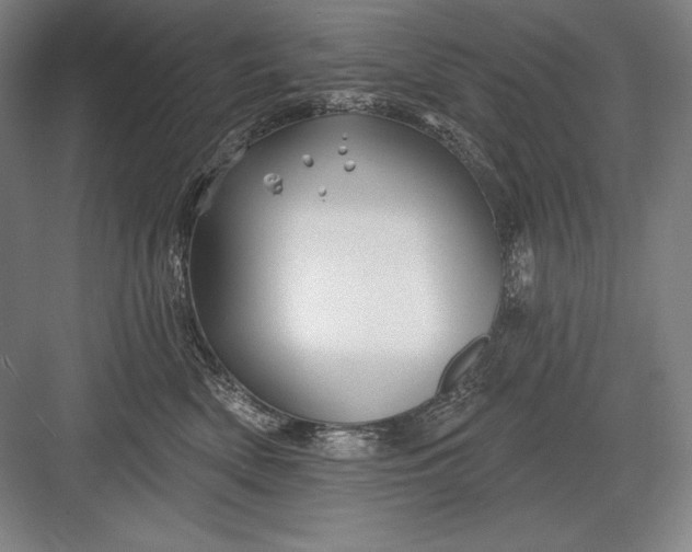 X0000082960522200702152309