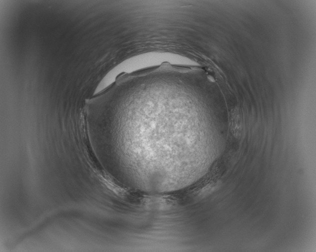 X0000082960523200702152309