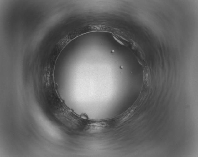 X0000082960525200702152309