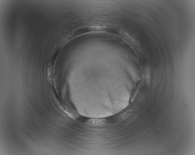 X0000082960526200702152309