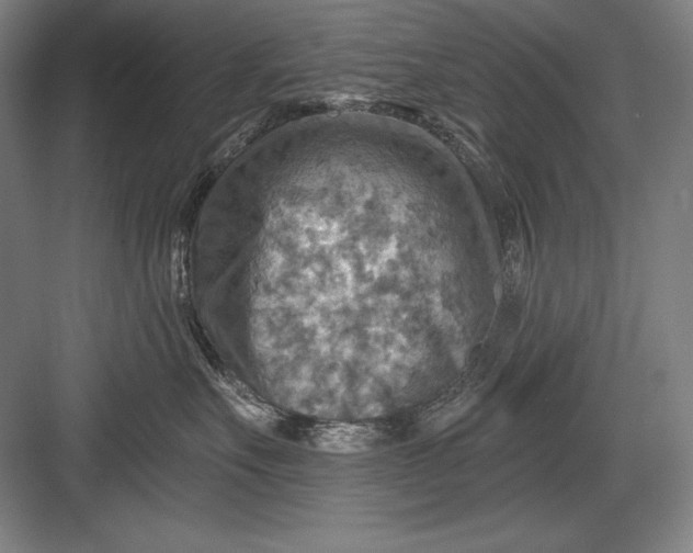 X0000082960527200702152309