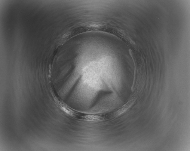 X0000082960528200702152309