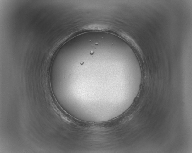 X0000082960529200702152308