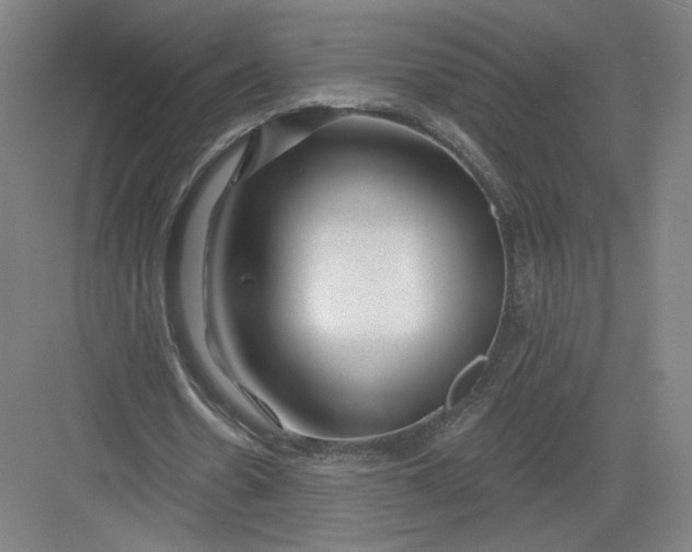 X0000082960530200702152308