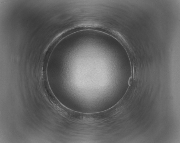 X0000082960531200702152308