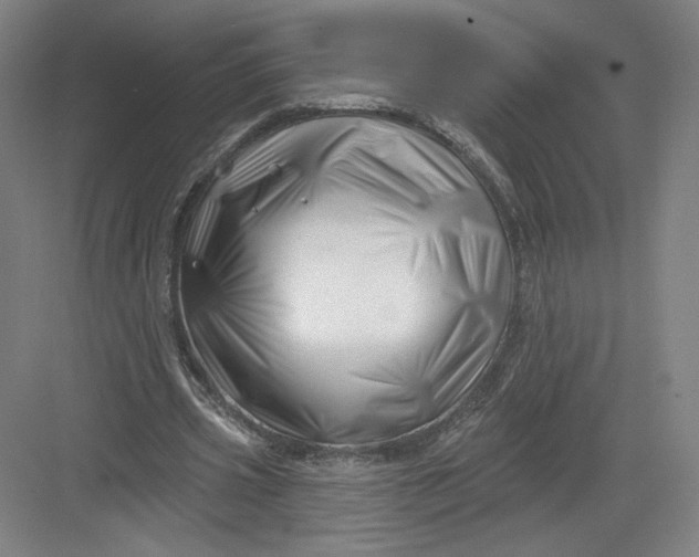 X0000082960533200702152308