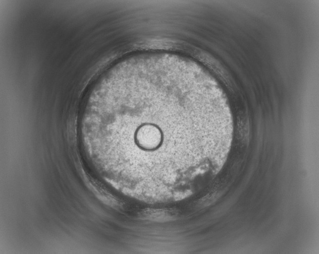 X0000082960534200702152308