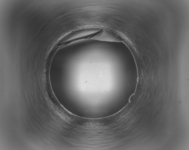 X0000082960535200702152308