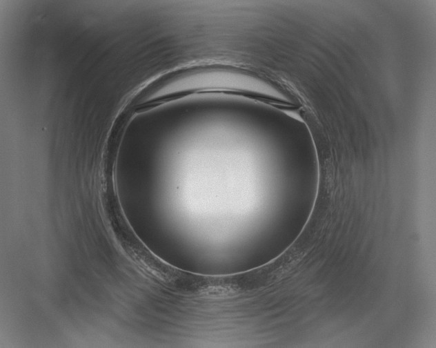 X0000082960536200702152308