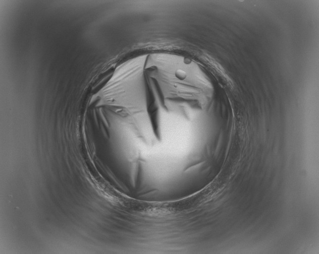 X0000082960537200702152308