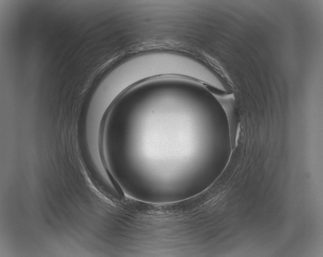 X0000082960538200702152308