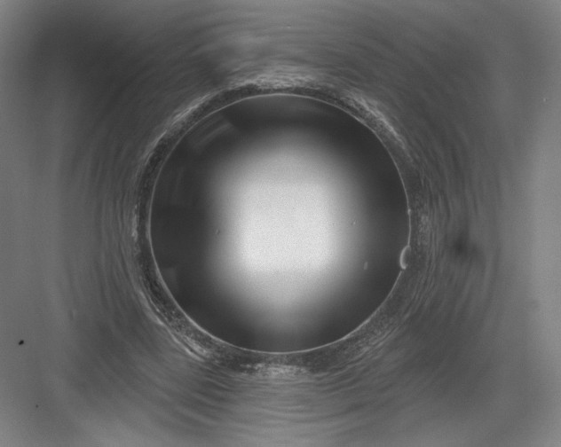 X0000082960539200702152308