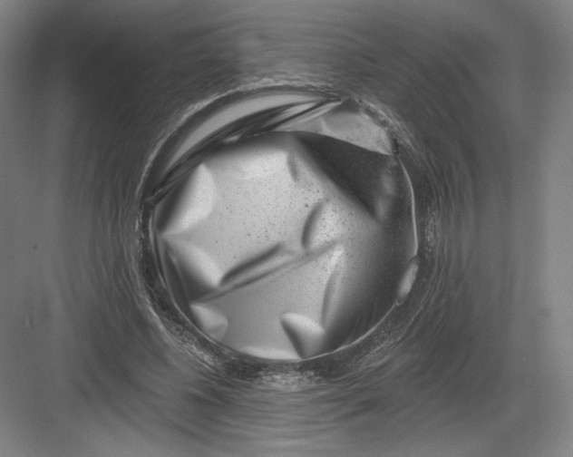 X0000082960540200702152308