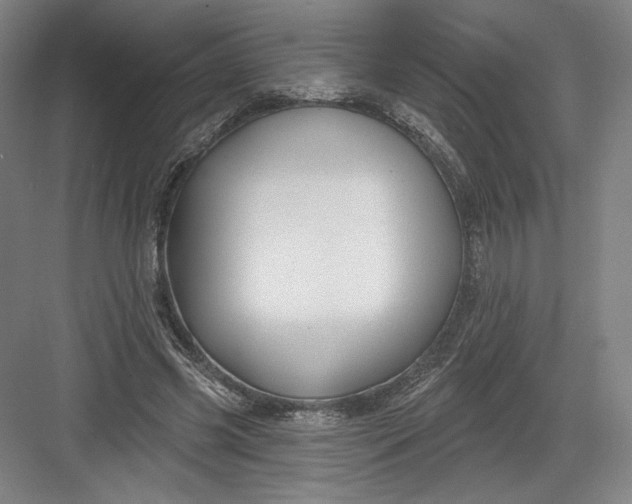 X0000082960541200702152308