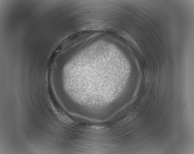 X0000082960542200702152308