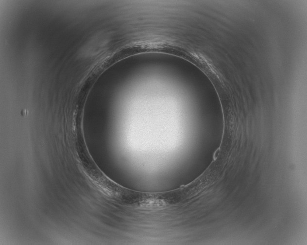 X0000082960543200702152308