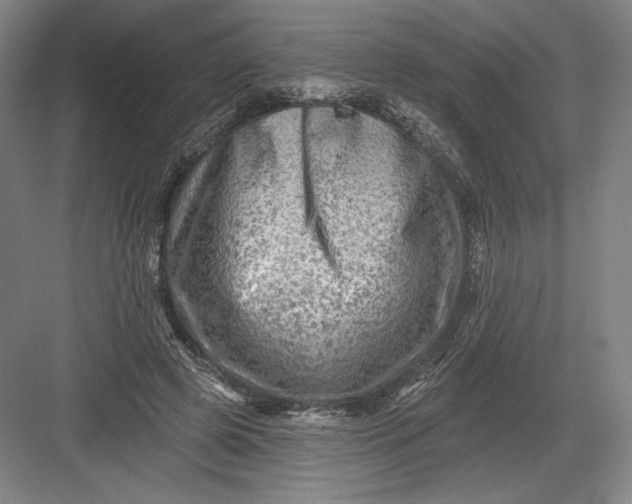 X0000082960545200702152308