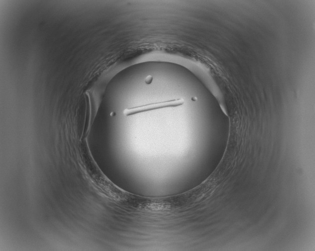 X0000082960546200702152308