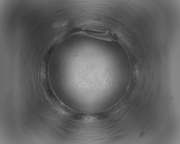 X0000082960547200702152308