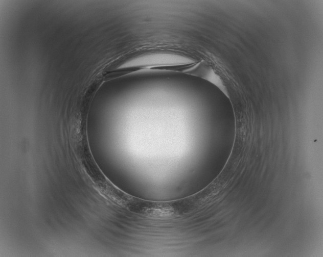 X0000082960548200702152308