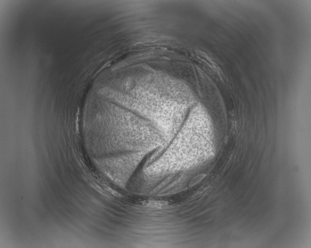 X0000082960549200702152308