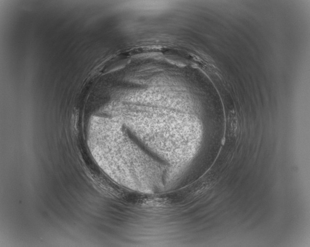 X0000082960550200702152308