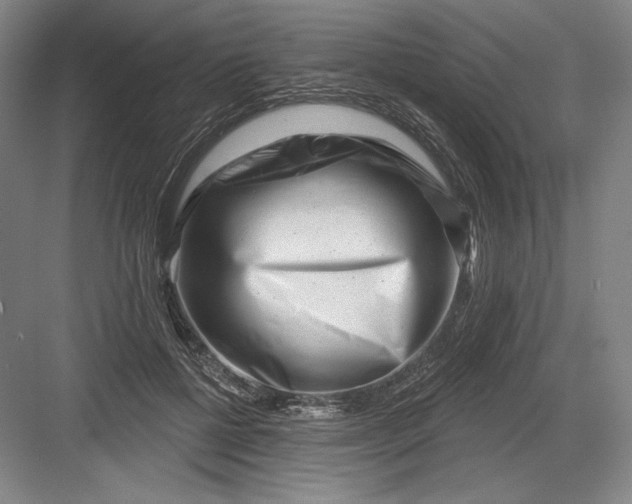 X0000082960552200702152309