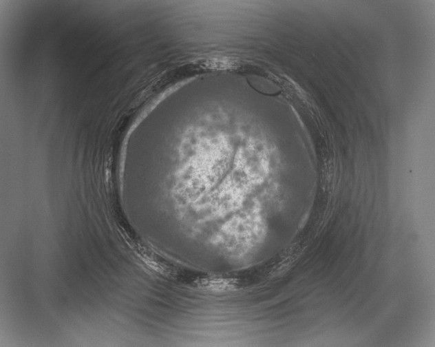 X0000082960553200702152309