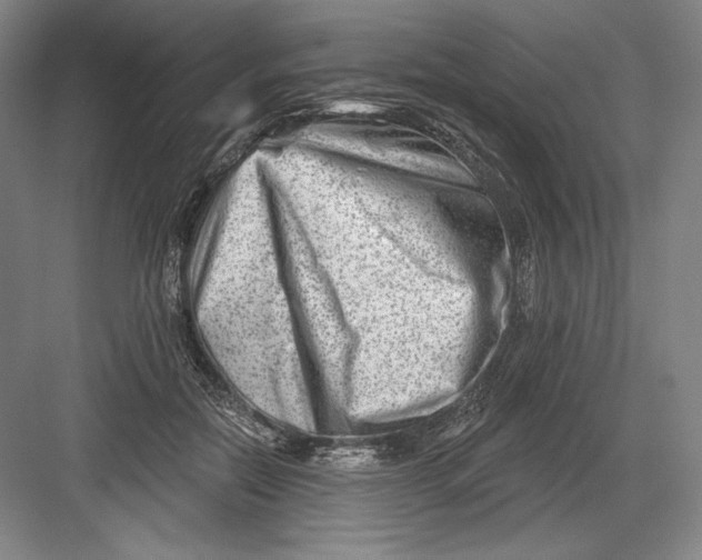 X0000082960554200702152309