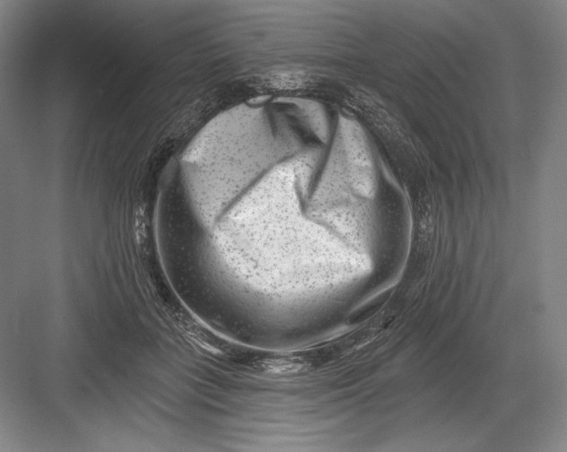 X0000082960555200702152309