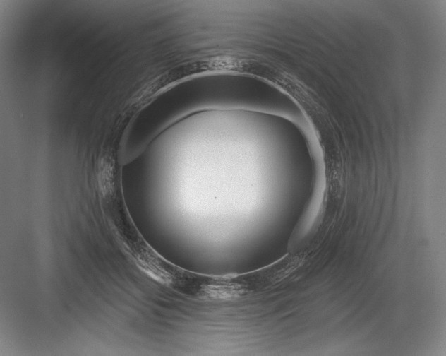 X0000082960556200702152309