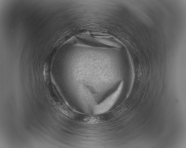 X0000082960559200702152309