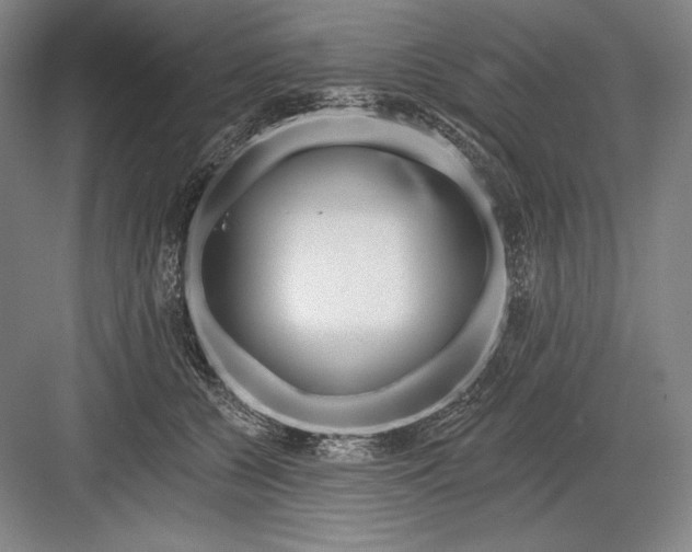 X0000082960560200702152309