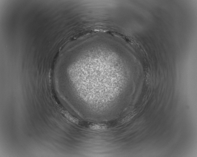 X0000082960561200702152309