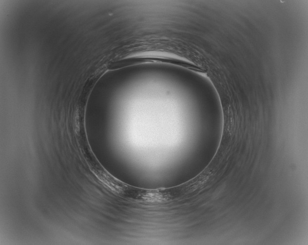 X0000082960562200702152309