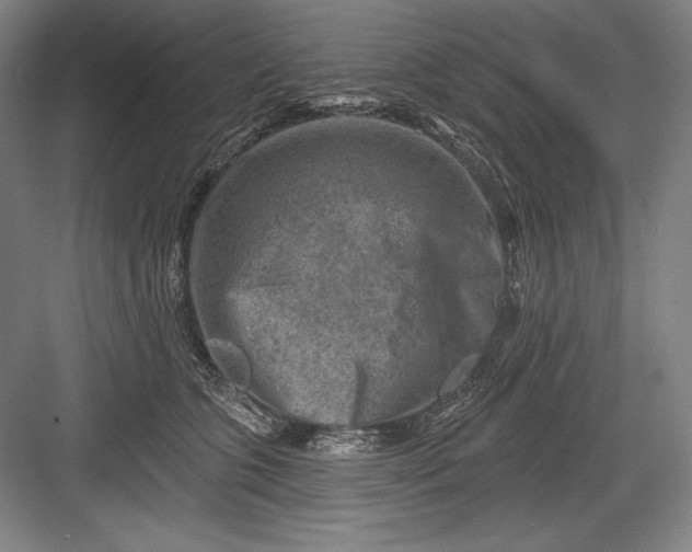 X0000082960563200702152309