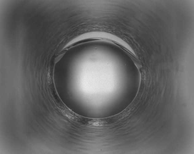 X0000082960564200702152309