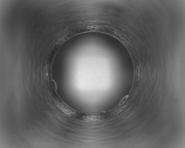 X0000082960567200702152309