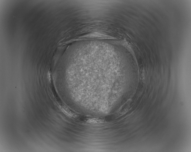 X0000082960568200702152309