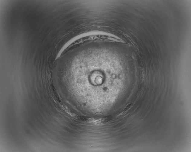 X0000082960569200702152309