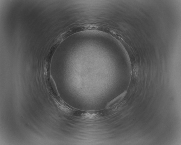 X0000082960570200702152309