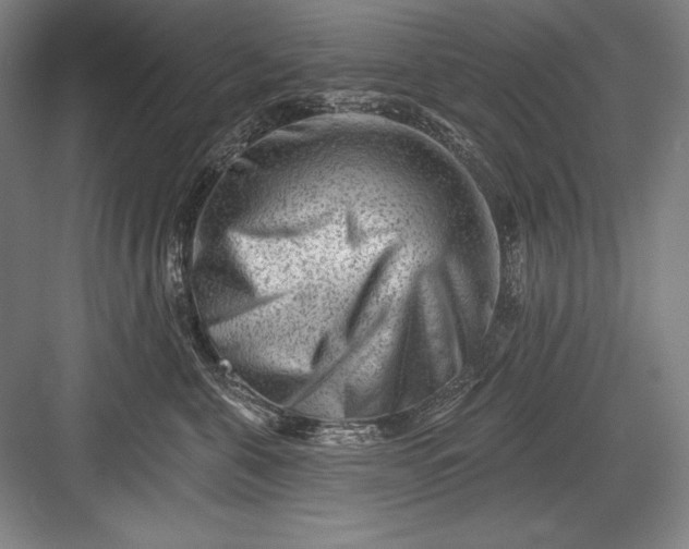 X0000082960571200702152309