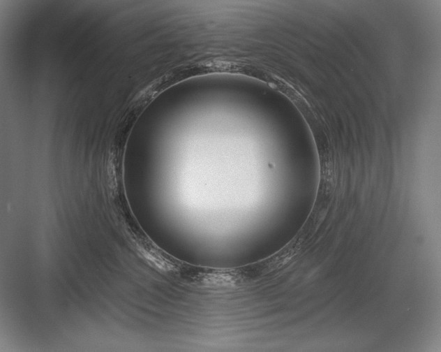 X0000082960572200702152309