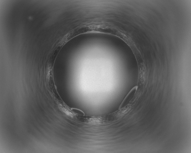 X0000082960574200702152309